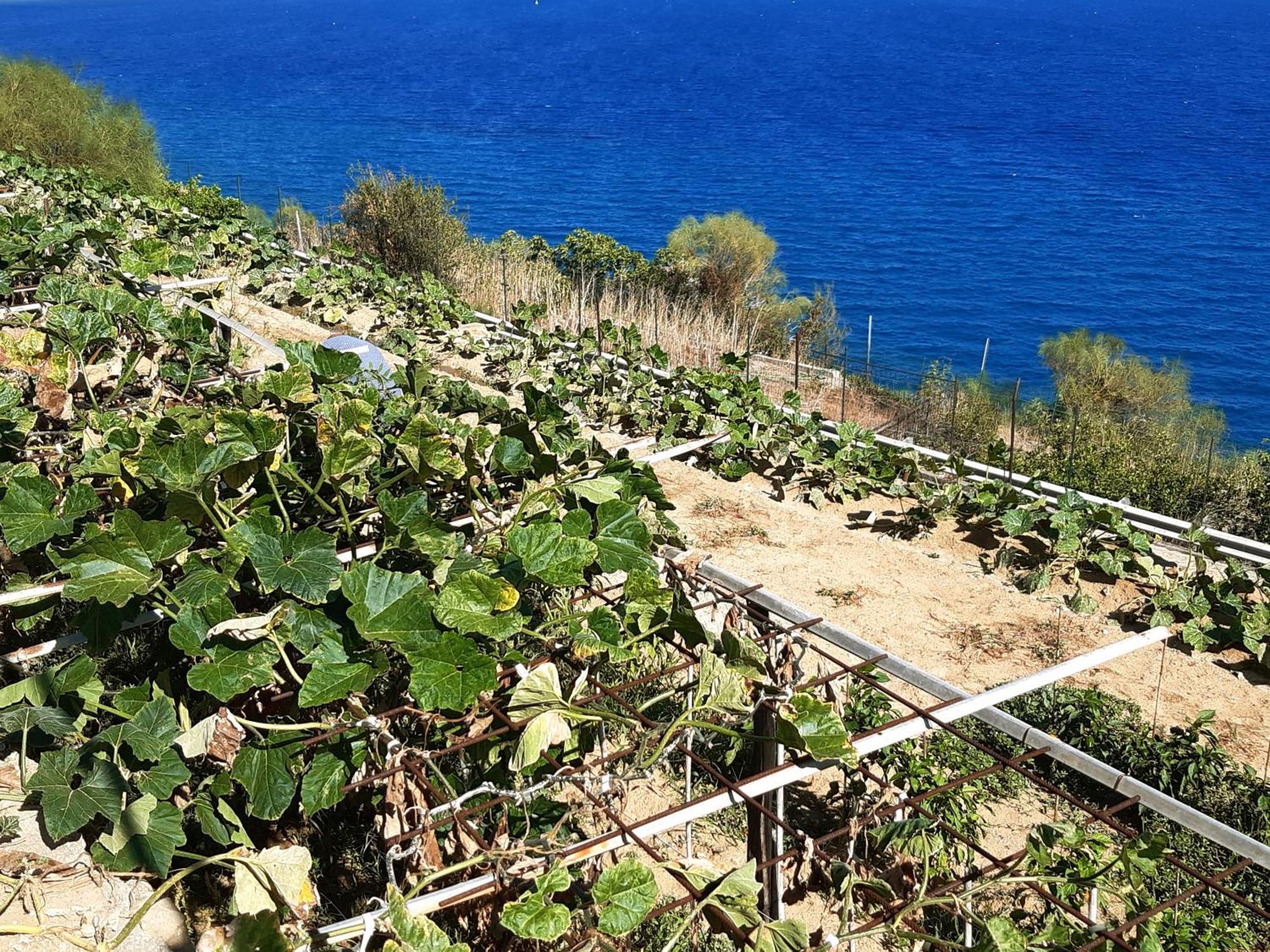 Gli Orti Sul Mare 2 Vista Mare Appartement Bordighera Buitenkant foto